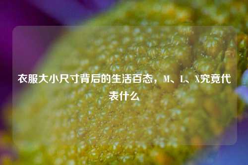 衣服大小尺寸背后的生活百态,M、L、X究竟代表什么