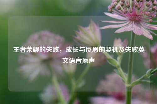 王者荣耀的失败,成长与反思的契机及失败英文语音原声