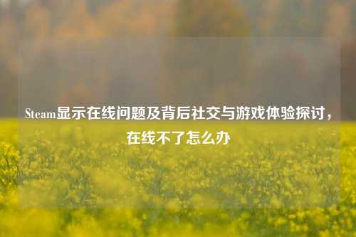 Steam显示在线问题及背后社交与游戏体验探讨,在线不了怎么办