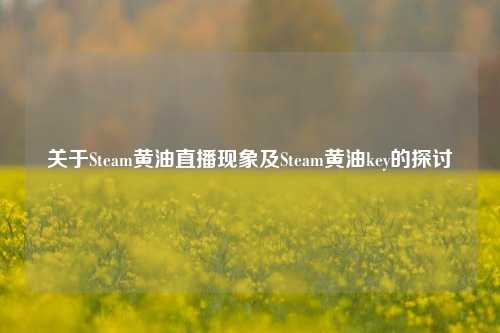 关于Steam黄油直播现象及Steam黄油key的探讨