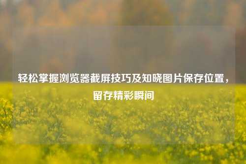 轻松掌握浏览器截屏技巧及知晓图片保存位置,留存精彩瞬间