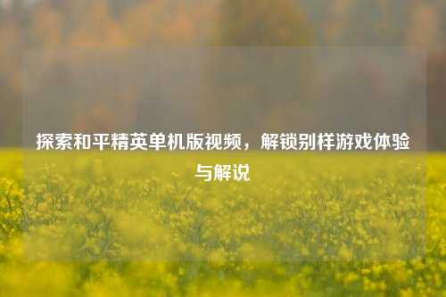 探索和平精英单机版视频,解锁别样游戏体验与解说