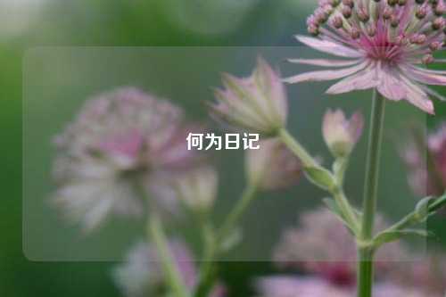 何为日记