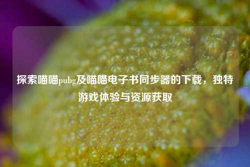 探索喵喵pubg及喵喵电子书同步器的下载,独特游戏体验与资源获取