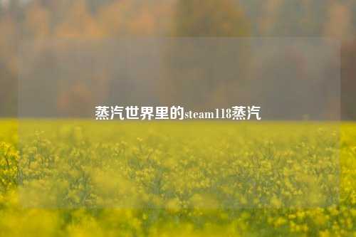 蒸汽世界里的steam118蒸汽