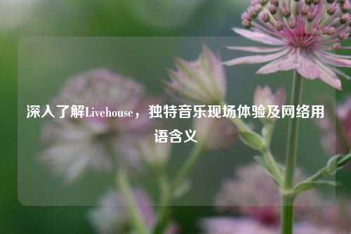 深入了解Livehouse，独特音乐现场体验及网络用语含义