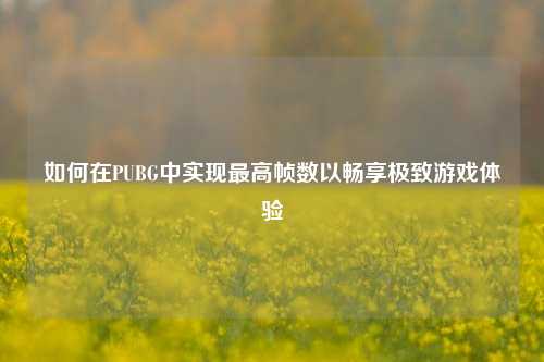 如何在PUBG中实现最高帧数以畅享极致游戏体验