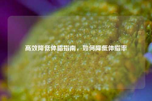 高效降低体脂指南，如何降低体脂率