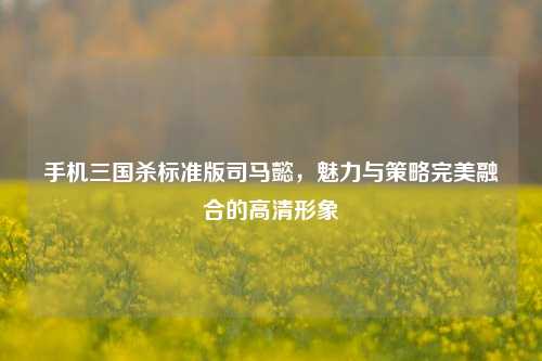 手机三国杀标准版司马懿，魅力与策略完美融合的高清形象
