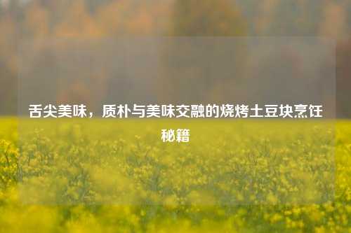 舌尖美味，质朴与美味交融的烧烤土豆块烹饪秘籍