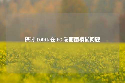 探讨 COD16 在 PC 端画面模糊问题