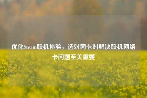 优化Steam联机体验，选对网卡对解决联机网络卡问题至关重要