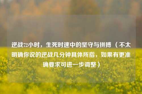 逆战72小时,生死时速中的坚守与拼搏 (不太明确你说的逆战几分钟具体所指,如果有更准确要求可进一步调整)