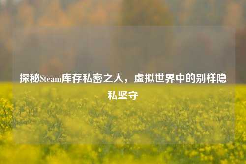 探秘Steam库存私密之人，虚拟世界中的别样隐私坚守