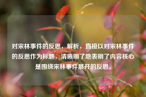 对宋林事件的反思,解析,直接以对宋林事件的反思作为标题,清晰明了地表明了内容核心是围绕宋林事件展开的反思。
