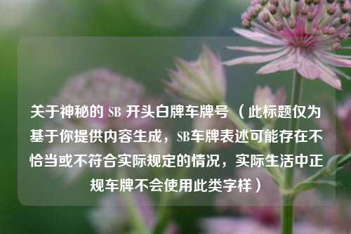 关于神秘的 SB 开头白牌车牌号 （此标题仅为基于你提供内容生成，SB车牌表述可能存在不恰当或不符合实际规定的情况，实际生活中正规车牌不会使用此类字样）