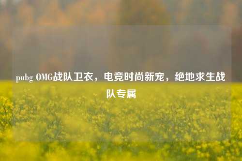 pubg OMG战队卫衣，电竞时尚新宠，绝地求生战队专属
