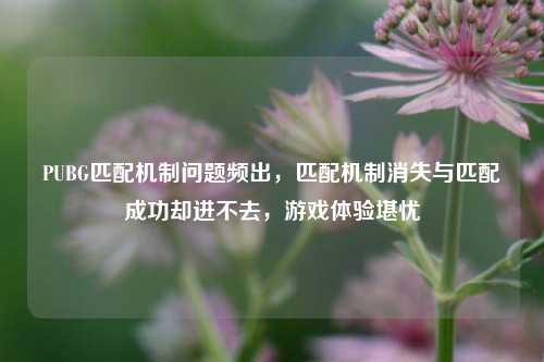 PUBG匹配机制问题频出，匹配机制消失与匹配成功却进不去，游戏体验堪忧