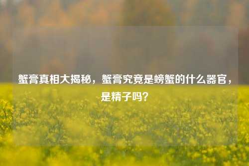 蟹膏真相大揭秘,蟹膏究竟是螃蟹的什么器官,是精子吗?