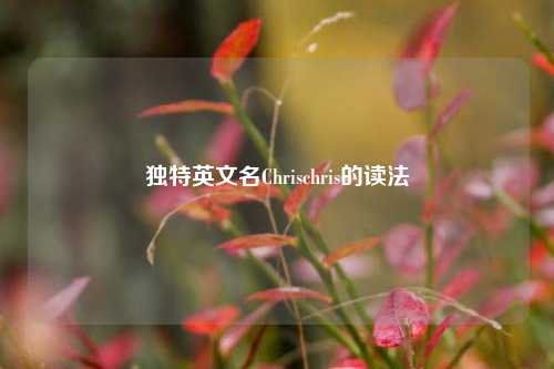 独特英文名Chrischris的读法