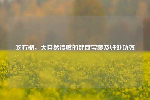 吃石榴，大自然馈赠的健康宝藏及好处功效