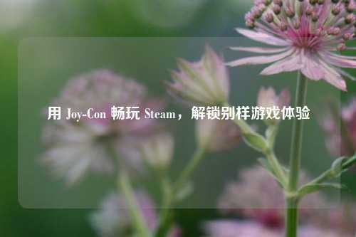 用 Joy-Con 畅玩 Steam，解锁别样游戏体验