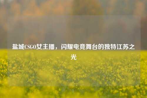盐城CSGO女主播，闪耀电竞舞台的独特江苏之光