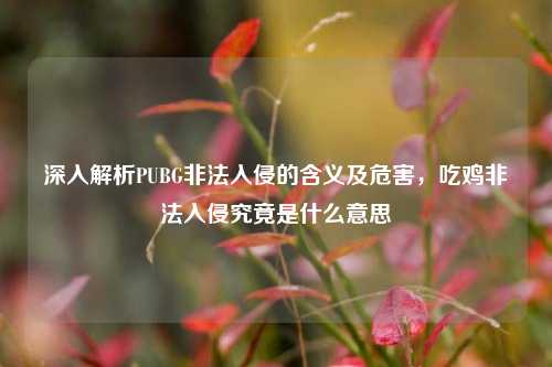 深入解析PUBG非法入侵的含义及危害,吃鸡非法入侵究竟是什么意思