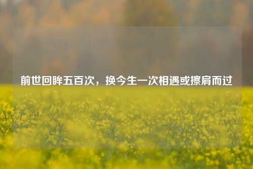 前世回眸五百次，换今生一次相遇或擦肩而过
