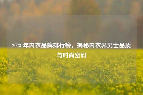 2023 年内衣品牌排行榜，揭秘内衣界男士品质与时尚密码