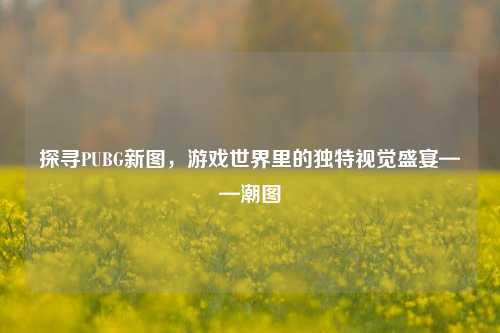 探寻PUBG新图,游戏世界里的独特视觉盛宴——潮图