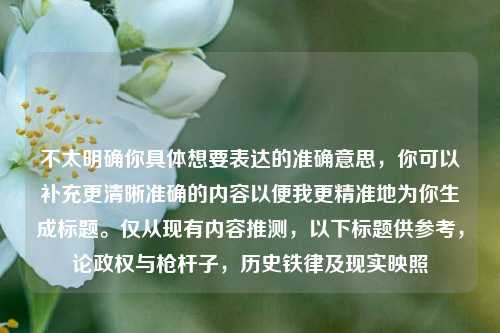 不太明确你具体想要表达的准确意思,你可以补充更清晰准确的内容以便我更精准地为你生成标题。仅从现有内容推测,以下标题供参考,论政权与枪杆子,历史铁律及现实映照