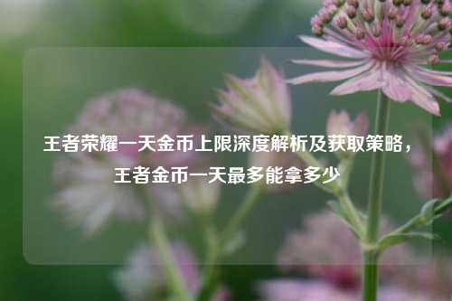 王者荣耀一天金币上限深度解析及获取策略，王者金币一天最多能拿多少