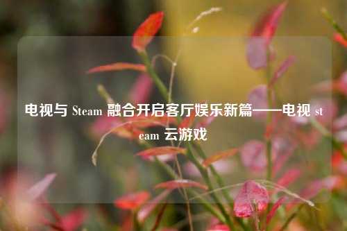 电视与 Steam 融合开启客厅娱乐新篇——电视 steam 云游戏