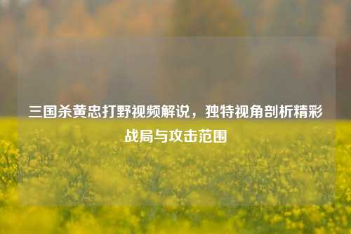 三国杀黄忠打野视频解说,独特视角剖析精彩战局与攻击范围