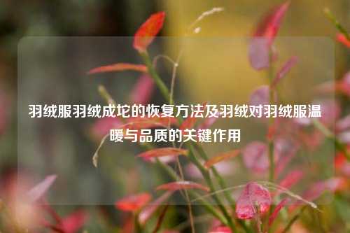 羽绒服羽绒成坨的恢复方法及羽绒对羽绒服温暖与品质的关键作用