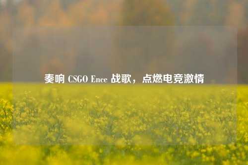 奏响 CSGO Ence 战歌，点燃电竞激情