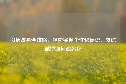 微博改名全攻略,轻松实现个性化标识,教你微博如何改名称