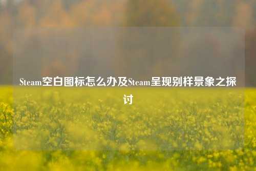 Steam空白图标怎么办及Steam呈现别样景象之探讨