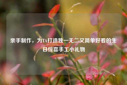亲手制作，为TA打造独一无二又简单好看的生日惊喜手工小礼物