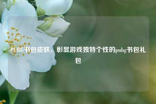 PUBG书包皮肤,彰显游戏独特个性的pubg书包礼包
