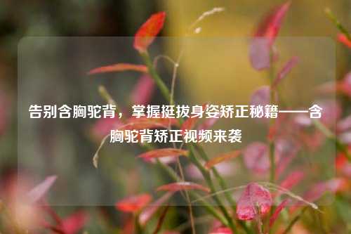 告别含胸驼背,掌握挺拔身姿矫正秘籍——含胸驼背矫正视频来袭