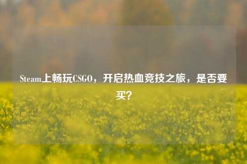 Steam上畅玩CSGO,开启热血竞技之旅,是否要买?
