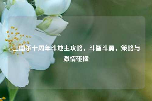 三国杀十周年斗地主攻略，斗智斗勇，策略与激情碰撞