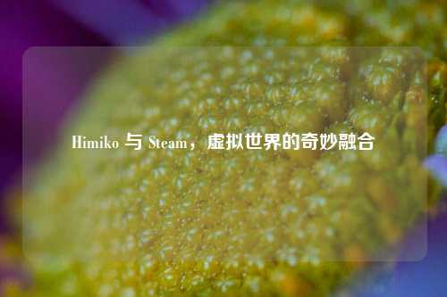 Himiko 与 Steam,虚拟世界的奇妙融合