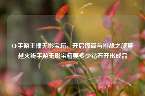 CF手游主播无影宝箱，开启惊喜与挑战之旅穿越火线手游无影宝箱要多少钻石开出成品
