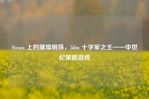 Steam 上的璀璨明珠，3dm 十字军之王——中世纪策略游戏
