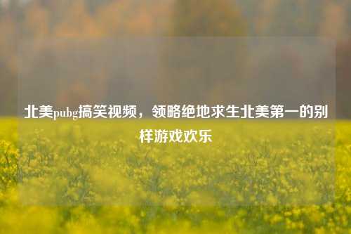 北美pubg搞笑视频,领略绝地求生北美第一的别样游戏欢乐