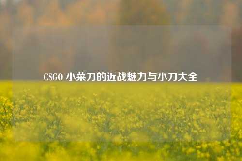 CSGO 小菜刀的近战魅力与小刀大全