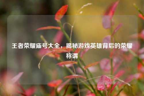 王者荣耀庙号大全,揭秘游戏英雄背后的荣耀称谓